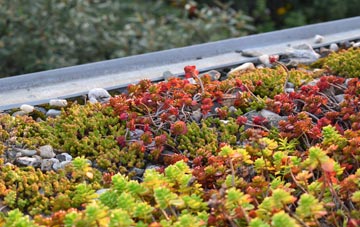the cost of Ashgrove green roof installation