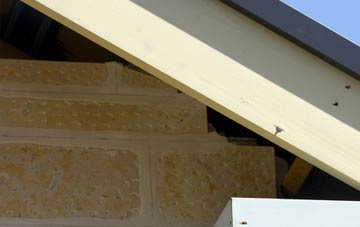 soffit repair Ashgrove