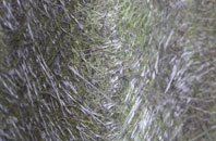 Ashgrove fibreglass roof work